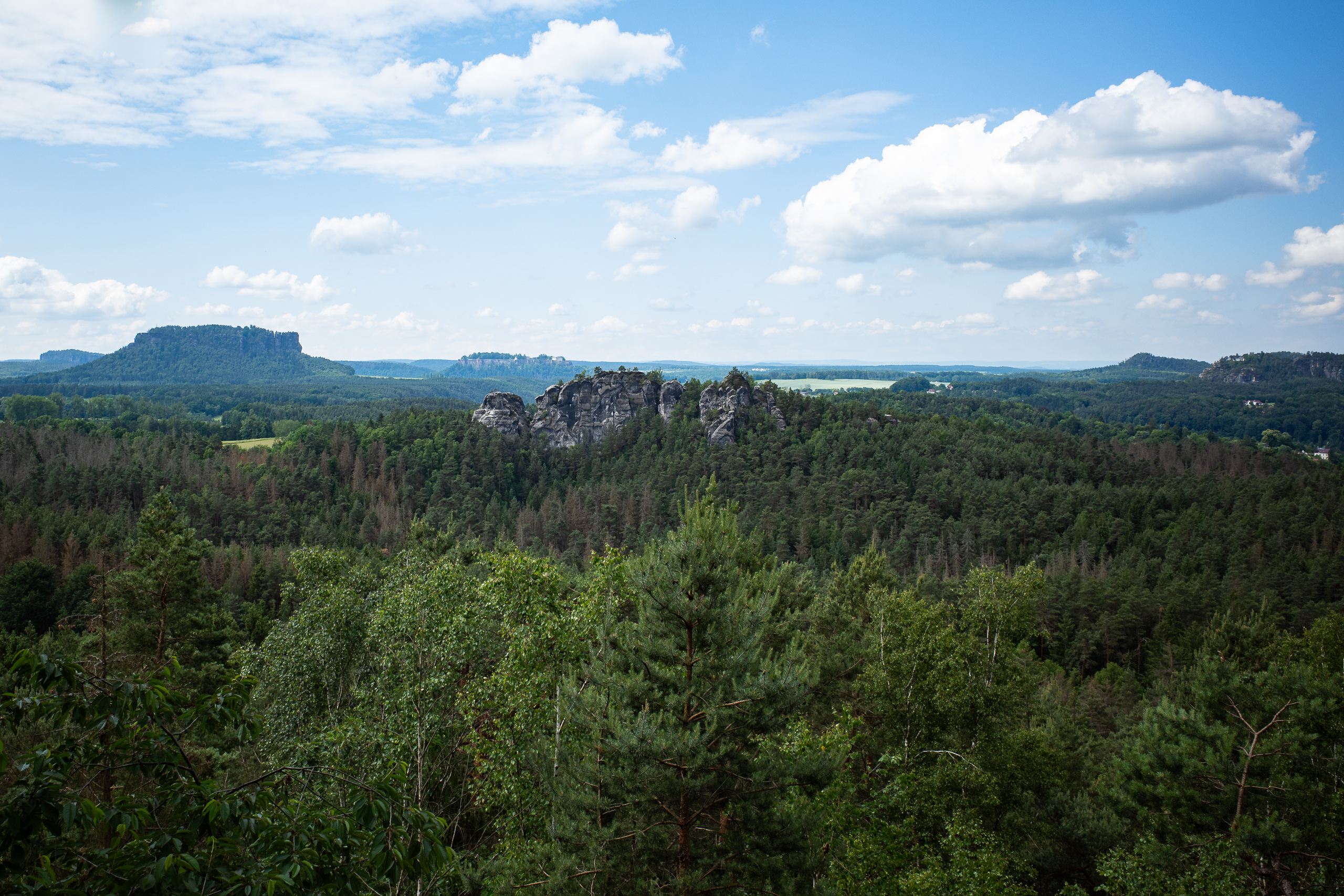 Aufstieg aus dem Elbtal ins Hinterland